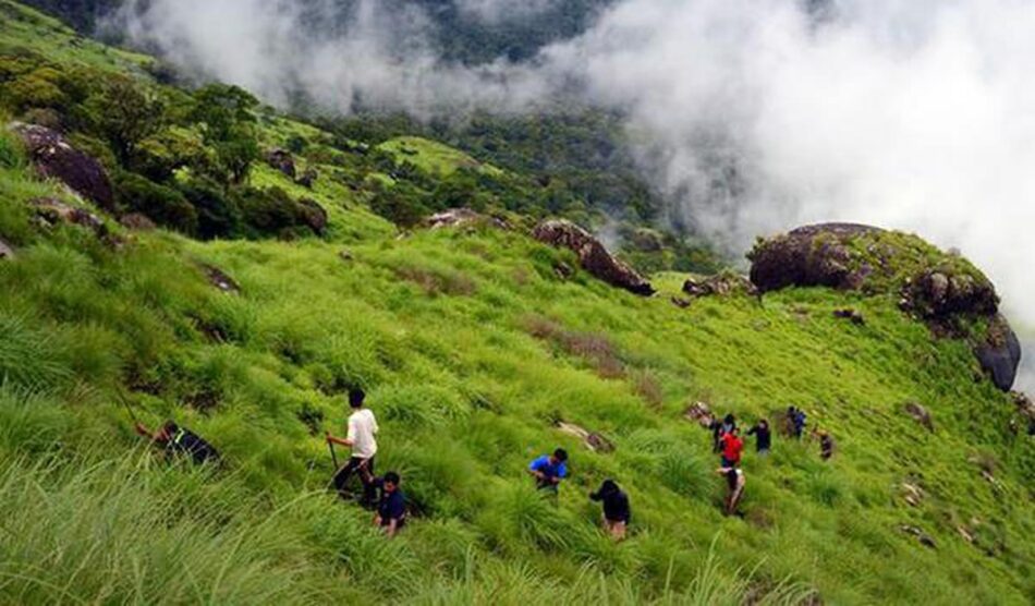 Indulge in Lakeside Bliss: Boating Experiences at Idukki Dam