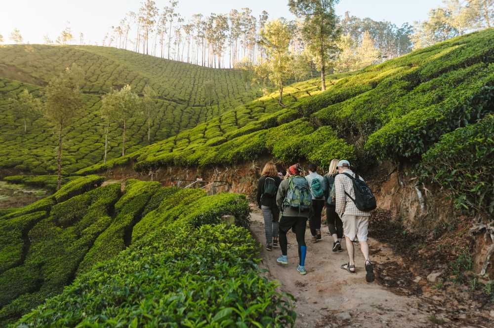 Discover the Idukki Reservoir: A Jewel in Kerala’s Crown